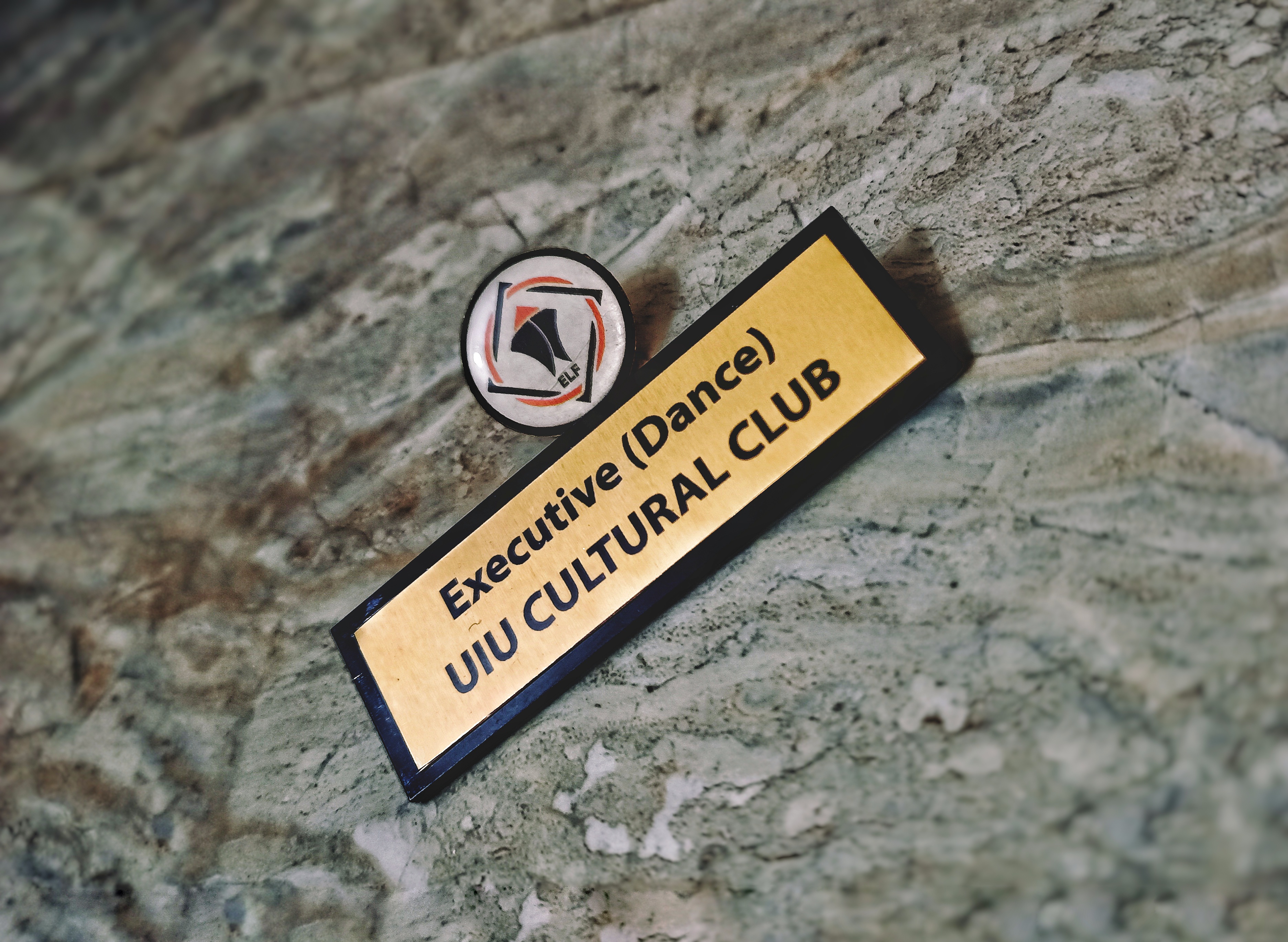 Executive of Dance – UIU Cultural Club