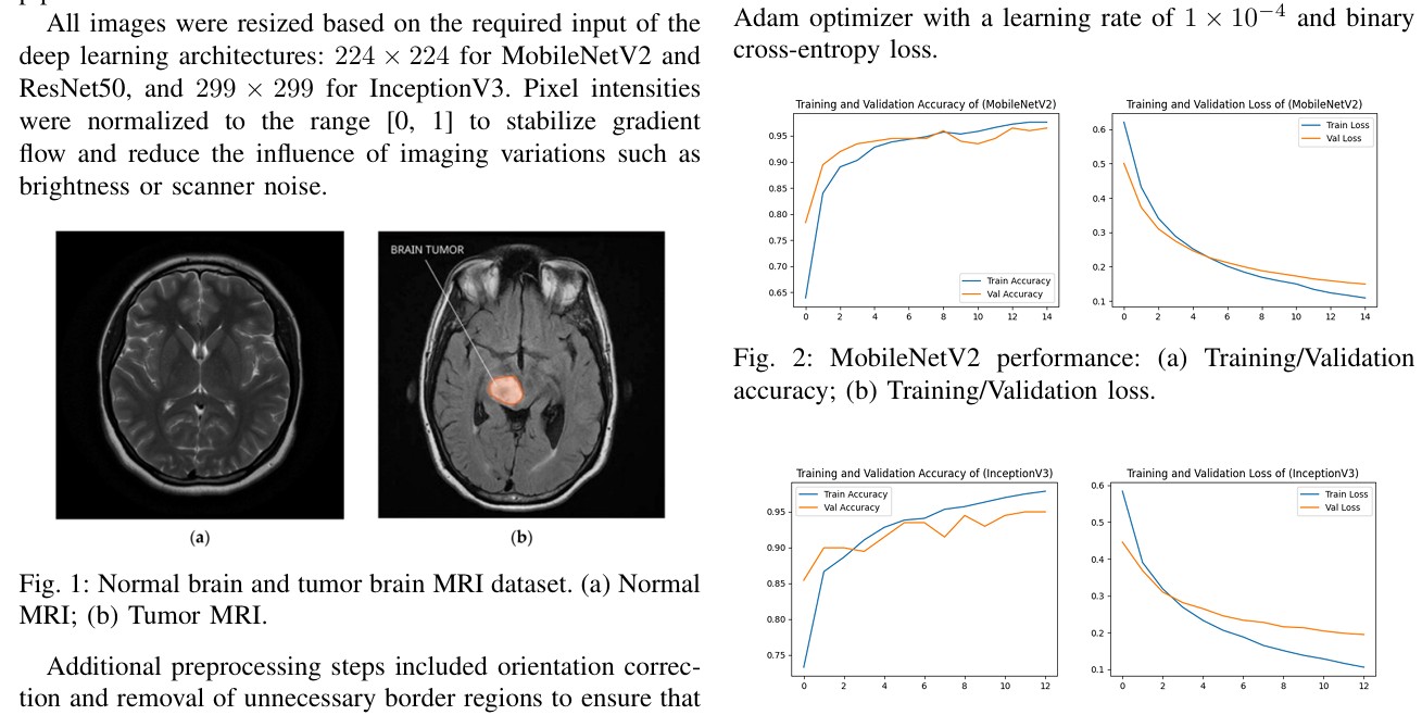 Adversarial attack and defense framework for MRI-based brain tumor classification using ensemble deep learning